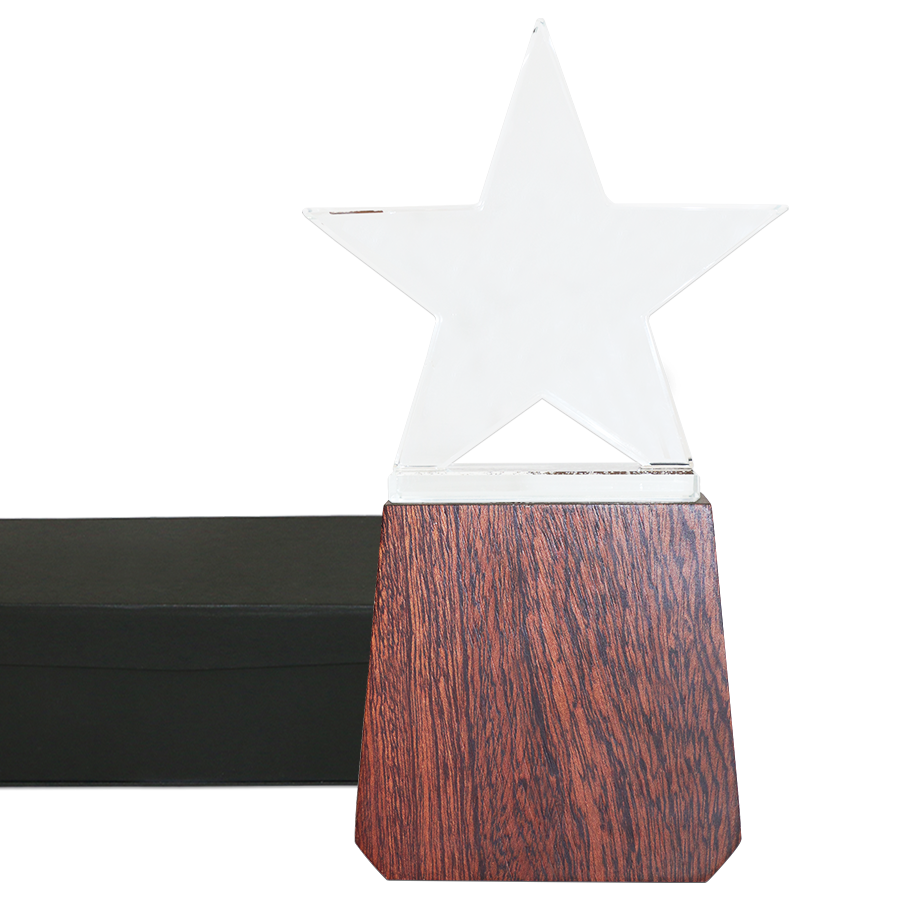 Trophee Star en Bois & Verre