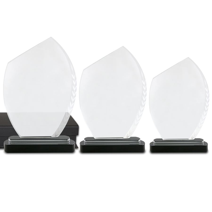 Trophée Spécial Vainqueur