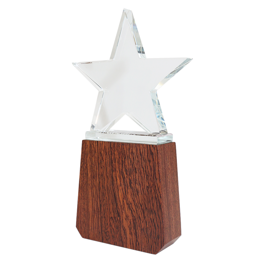 Trophee Star en Bois & Verre