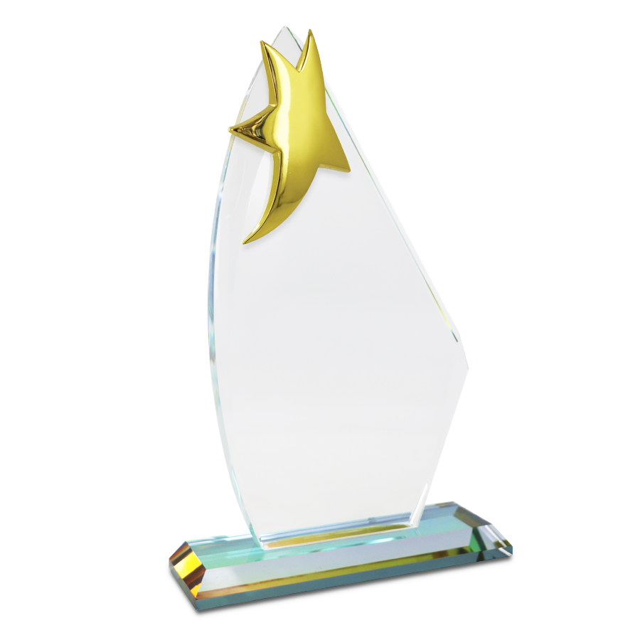 Trophée Etoile Métal